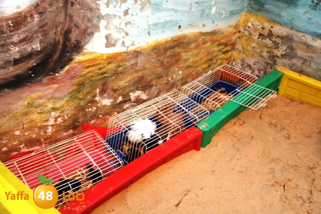 kidsosra3arabi605 (53).JPG